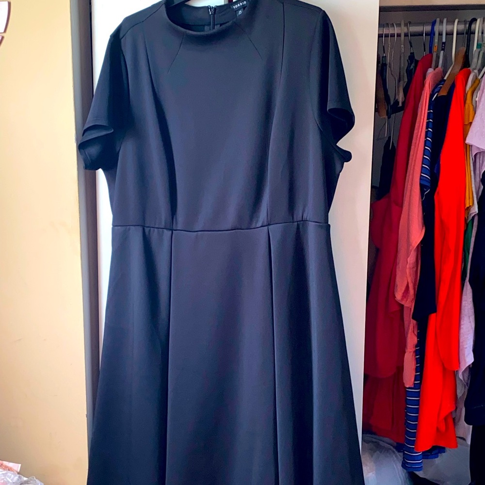 Brand new with Tags size 24 skater dress from Torrid .